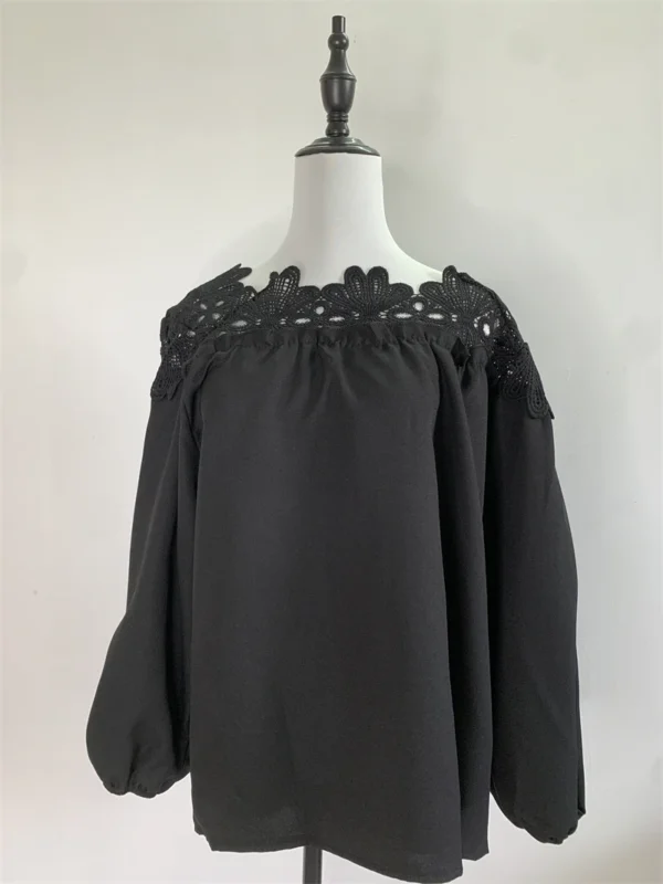Lace Mesh Women Shirt Embroidery Patchwork Blouses 2025 Spring Long Sleeve Tops Casual Loose BlousesFemale Blusas Pullover - Image 7