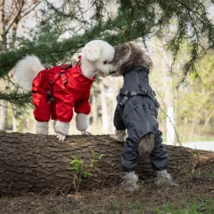 Dog Raincoat with Harness Waterproof Pet Rain Jacket for Small Dogs Adjustable Reflective Dog Rain Overalls with 4 Legs - Image 6