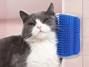 Grooming Devices