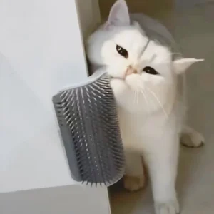 Best-selling Item Massager for Cats PP Material Pets Goods Brush Remove Hair Comb Grooming Table Dogs Care Royal - Image 3