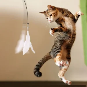 Cat Teaser Toy - Interactive Bell & Feather Wand - Long Suction Cup Pole for Exciting Playtime Adventures - Ultimate Cat Toy - Image 7