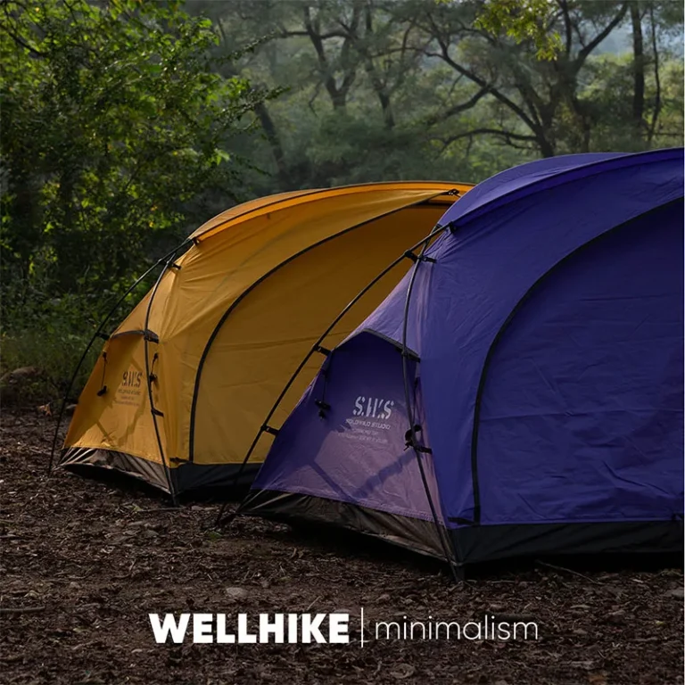 WELLHIKE Outdoor Portable Tent Single and Double Field Park Camping Equipment Rain and Sun Thickened Three Sseason Tent - Image 4