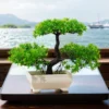 Artificial Plants Bonsai Small Tree Simulation Pot Plants Fake Flowers Table Potted Ornaments for Hotel Garden Home Decor planta - Image 2