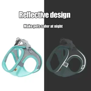 Cat Dog Harness Vest Chest Rope Set Reflective Breathable Adjustable Pet Harness for Small Medium Dogs Outdoor Walking - Image 3