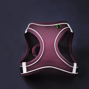 Cat Dog Harness Vest Chest Rope Set Reflective Breathable Adjustable Pet Harness for Small Medium Dogs Outdoor Walking - Image 4
