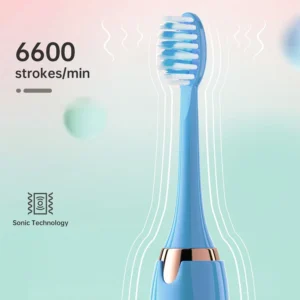 Tongwode Oral Cleaning Electric Tooth Brushes Long Lasting Smart Wireless Rechargeable Automatic Ultrasonic Electric Toothbrush - Image 3