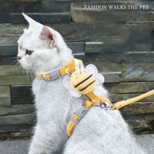 Clothes & Collars
