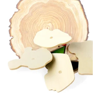 30cm Baby Toys Montessori Wooden Puzzle Hand Grab Board Educational Wood Puzzles for Kids Cartoon Animal Vehicle Gift for Child - Image 6