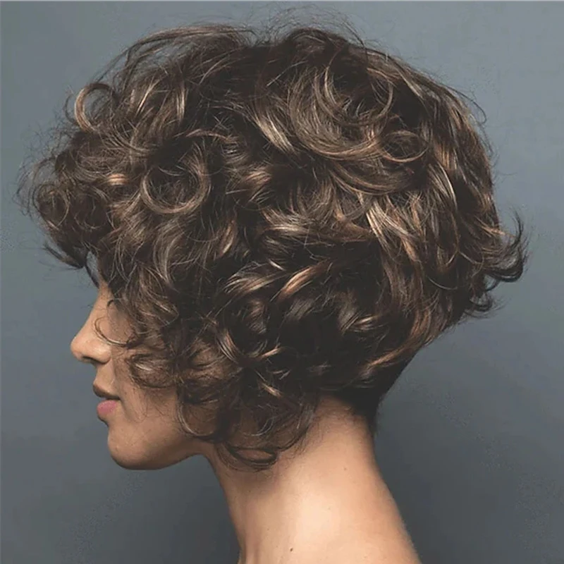 HAIRJOY Brown Wigs for Women Heat Resistant Synthetic Wig Curly Wig Short Wigs Comfy Party Daily Wigs