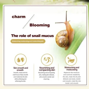 Skincare Set Snail Collagen Cream Anti Aging Whiten Skin Face Cream Fade Dark Eye Circles Remove Eye Bags Eye Serum - Image 4