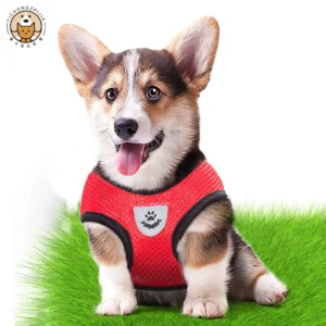 Cat Harness Vest Walking Lead Leash For Puppy dog Collar Polyester Adjustable Mesh Dog Harness For Small Medium Pet Accessories - Image 2