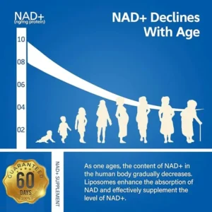 NAD+ Supplement Capsules - Liposomal Nicotinamide Riboside Capsules 900mg with Resveratrol & Quercetin - for Anti-Aging, Energy - Image 2
