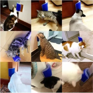 Cat Scratcher Massager for Cats Scratching Pets Brush Remove Hair Comb Grooming Table Dogs Kitten Care Royal Canin Accessories - Image 2