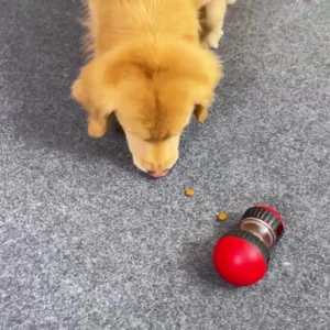 Dog Toy For Small Medium Large Dogs Cats Slow Feeder Pet Improve IQ Indoor Training Puppy Toys Chihuahua Beagle Pet Supplies - Image 5