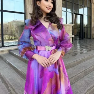 Print Dress Women Long Dresses Full Sleeve Sashes Tight Waist 2024 Autumn Female Temperament Elegant Office Lady Vestidos - Image 2