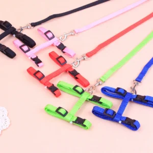 Hot-selling cat chest strap simple design traction rope high-quality nylon material sturdy and durable pet supplies - Image 2