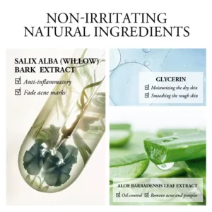 LAIKOU Aloe Vera Gel Anti-aging Pore Shrinking Acne Cream Facial Moisturizing Hydrating Skin Care Products - Image 3