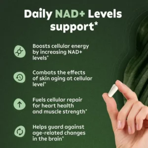 NAD+ Supplement Capsules - Liposomal Nicotinamide Riboside Capsules 900mg with Resveratrol & Quercetin - for Anti-Aging, Energy - Image 3