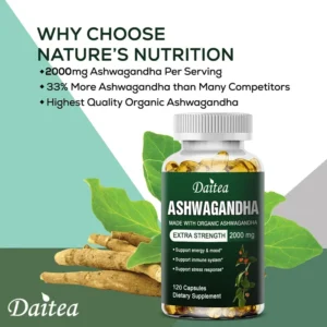 Daitea Ashwagandha Extract Capsule Anti-oxidation, Lipid-lowering, Decompression, Improving Sleep, Enhancing Immunity - Image 3