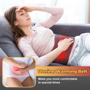 New Upgrade Electric Heating Waist Massager Support Belt Vibration Hot Compress Brace Belt Back Relax 3 Gears Adjustment - Image 2