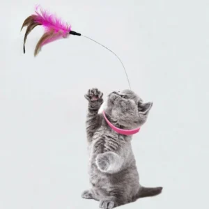 New hot product collar for cat teaser self-entertainment cat toy neck collar feather bell cat toy pet supplies - Image 2