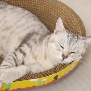 Cat Scratching Board Protect Furniture Grinding Claw Toys Oval Corrugated Paper Wear-resistant Cat Nest Cat Accessories - Image 4