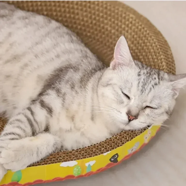 Cat Scratching Board Protect Furniture Grinding Claw Toys Oval Corrugated Paper Wear-resistant Cat Nest Cat Accessories - Image 4