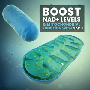 NAD+ Supplement Capsules - Liposomal Nicotinamide Riboside Capsules 900mg with Resveratrol & Quercetin - for Anti-Aging, Energy - Image 5