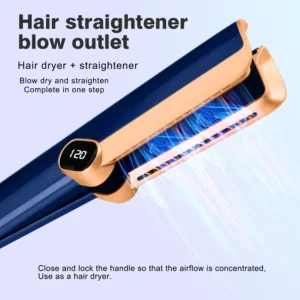 Multi Styler 2in1 LCD Display Hair DryerWet and Dry Hair Straightener Ion Portable Air Styling Hair Straighten - Image 4