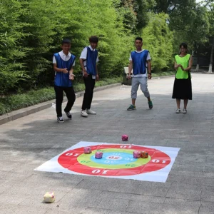 Outdoor Sandbag Throwing Game Suitable for Friendship Parent-Child Kindergarten School Events Company Team Building Activities - Image 6