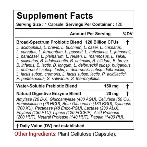 Probiotics + Prebiotics + Digestive Enzymes - Improves Digestion and Immunity, Relieves Constipation, Supports Intestinal Health - Image 2