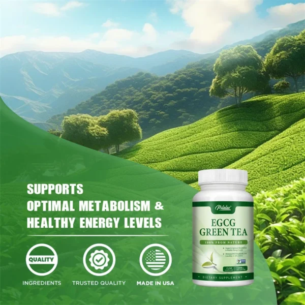 EGCG Green Tea Extract - Boosts Metabolism and Supports Healthy Fat Burning, Increasing Energy and Focus - Image 3